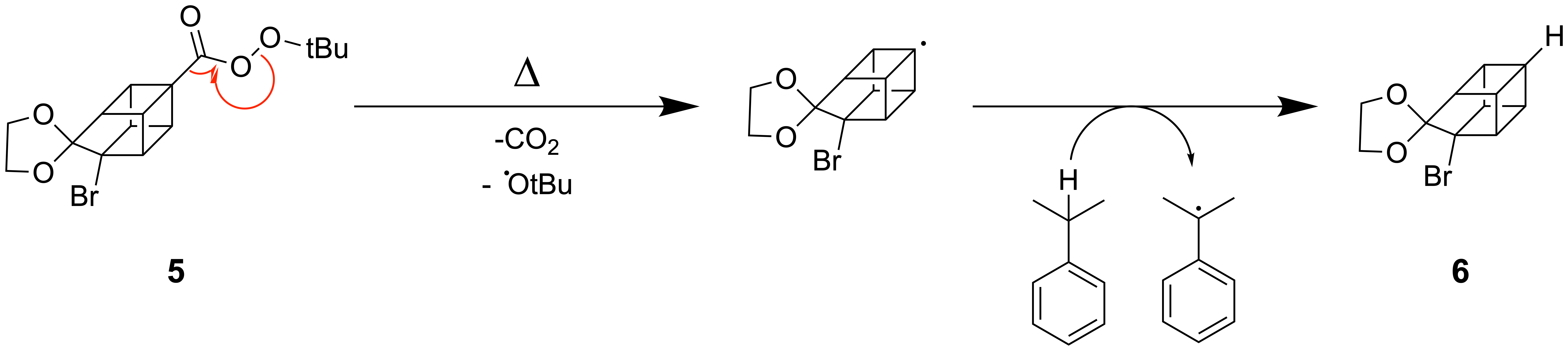Mechanismus der Decarboxylierung durch radikalischen Zerfall