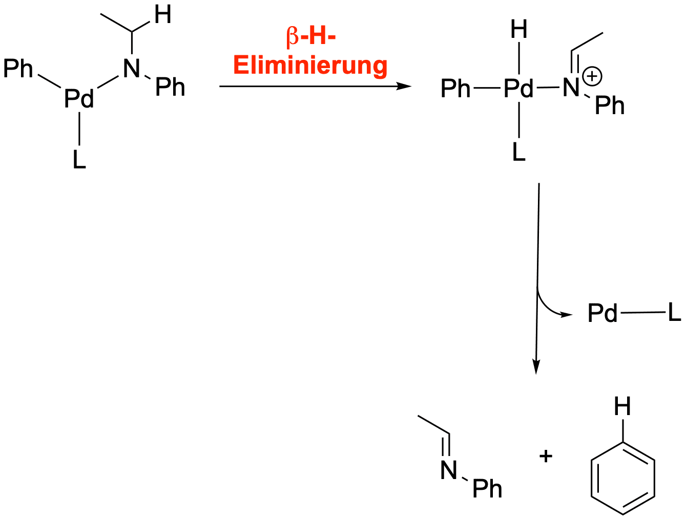 Mögliche Nebenreaktion der Buchwald-Hartwig Kreuzkupplung