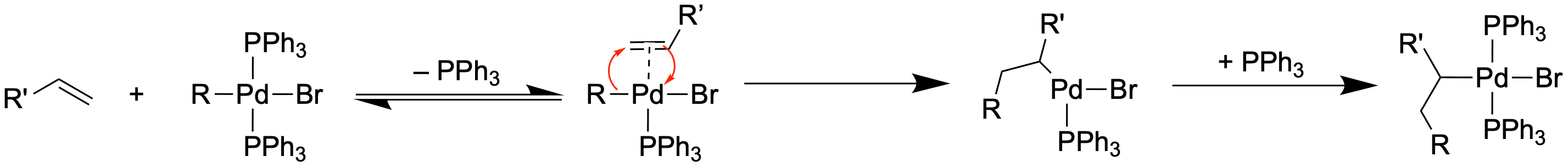 Mechanismus der Carbometallierung