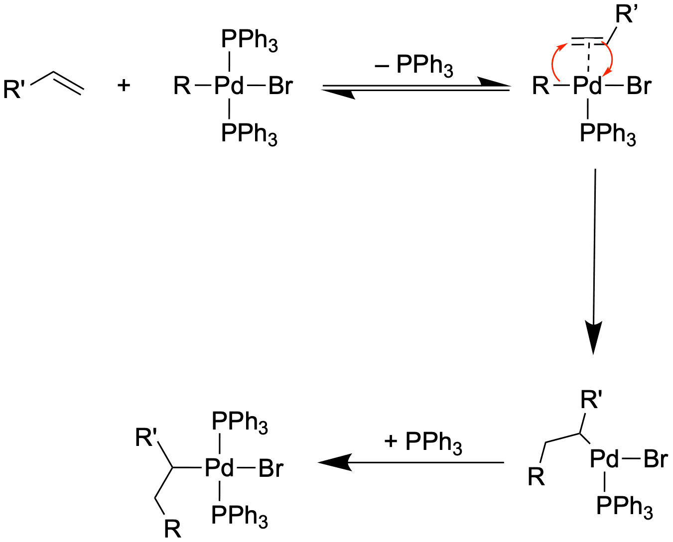 Mechanismus der Carbometallierung