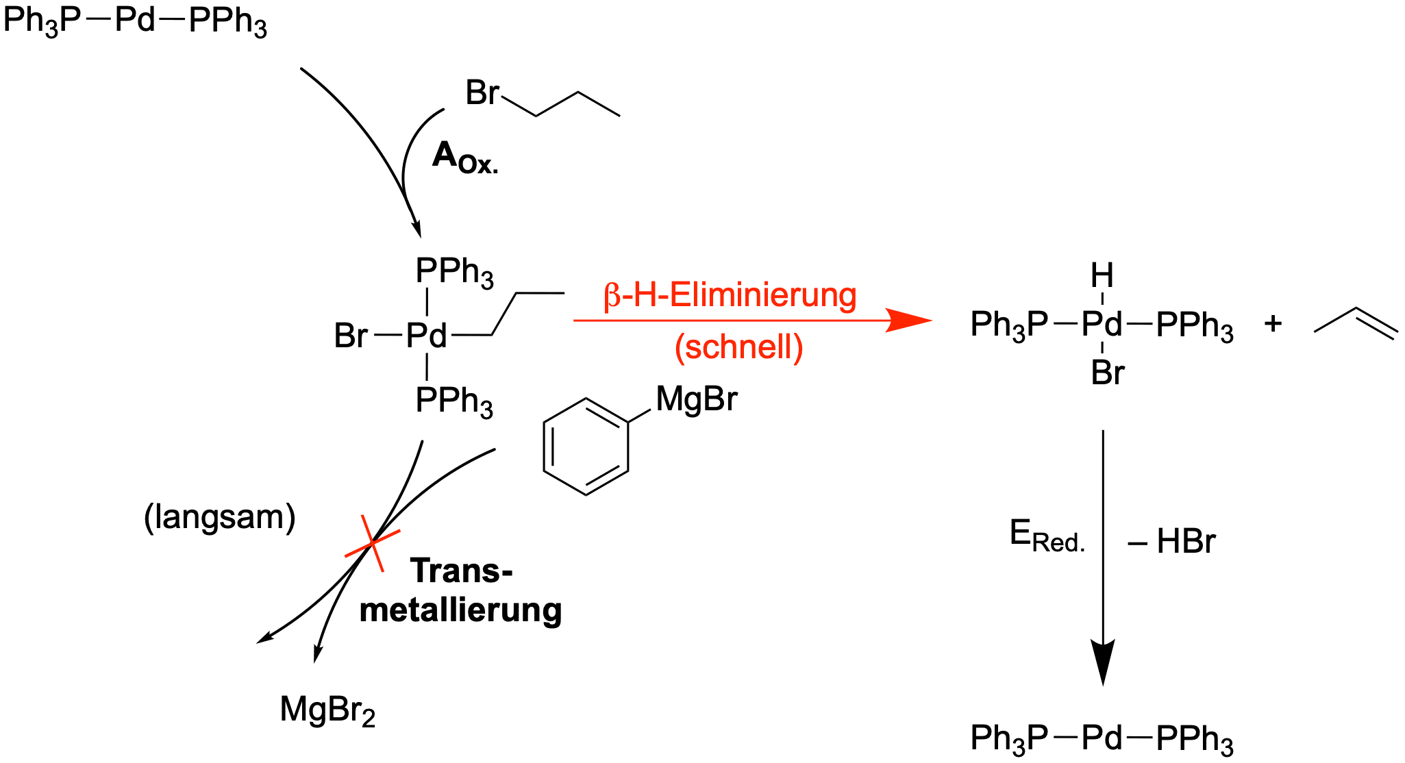 Die beta-H-Eliminierung als schnelle Konkurrenzreaktion