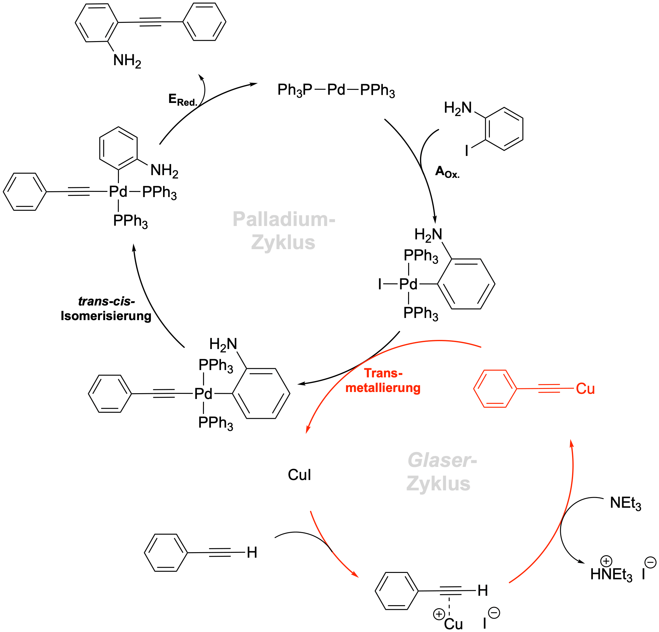 Mechanismus der Sonogashira-Kreuzkupplung mit ihren zwei Katalysezyklen